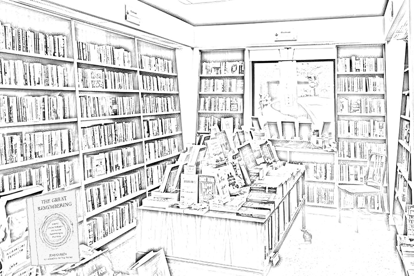Drawing adapted from a photo of Warwick's, La Jolla Line drawing of the bookshelves inside Warwick's, La Jolla