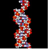 dna.jpg