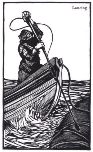 moby_lancing.jpg