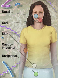 microbiome