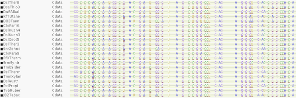 sequence_data3
