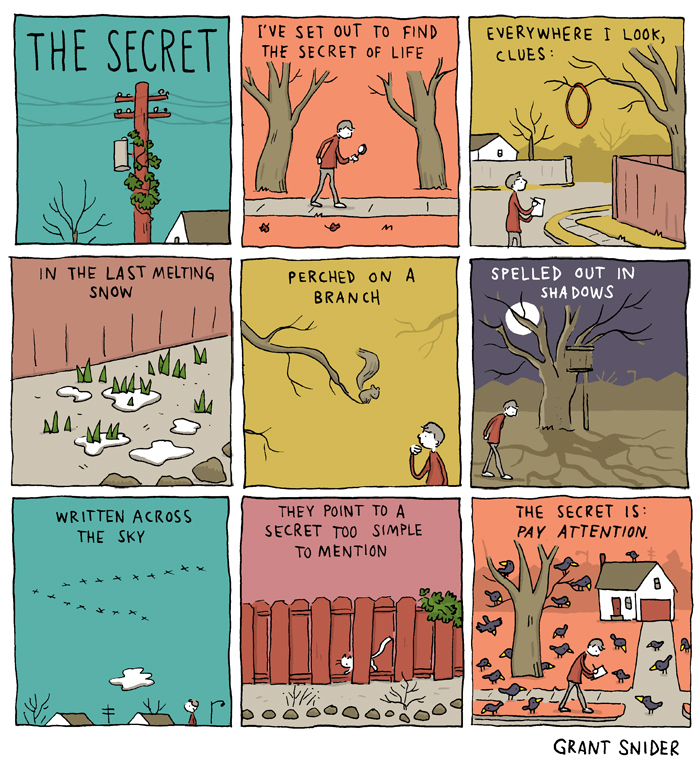 thesecret-web
