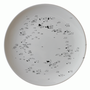 A plate from "Food-Data" by artist Tobias Zimmer A plate from "Food-Data" by artist Tobias Zimmer