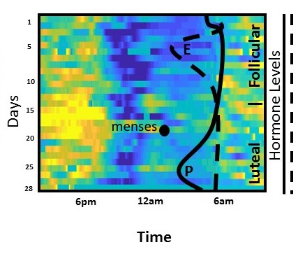 HeatMap_Mom