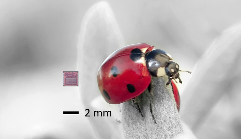 SmartDust_Scale